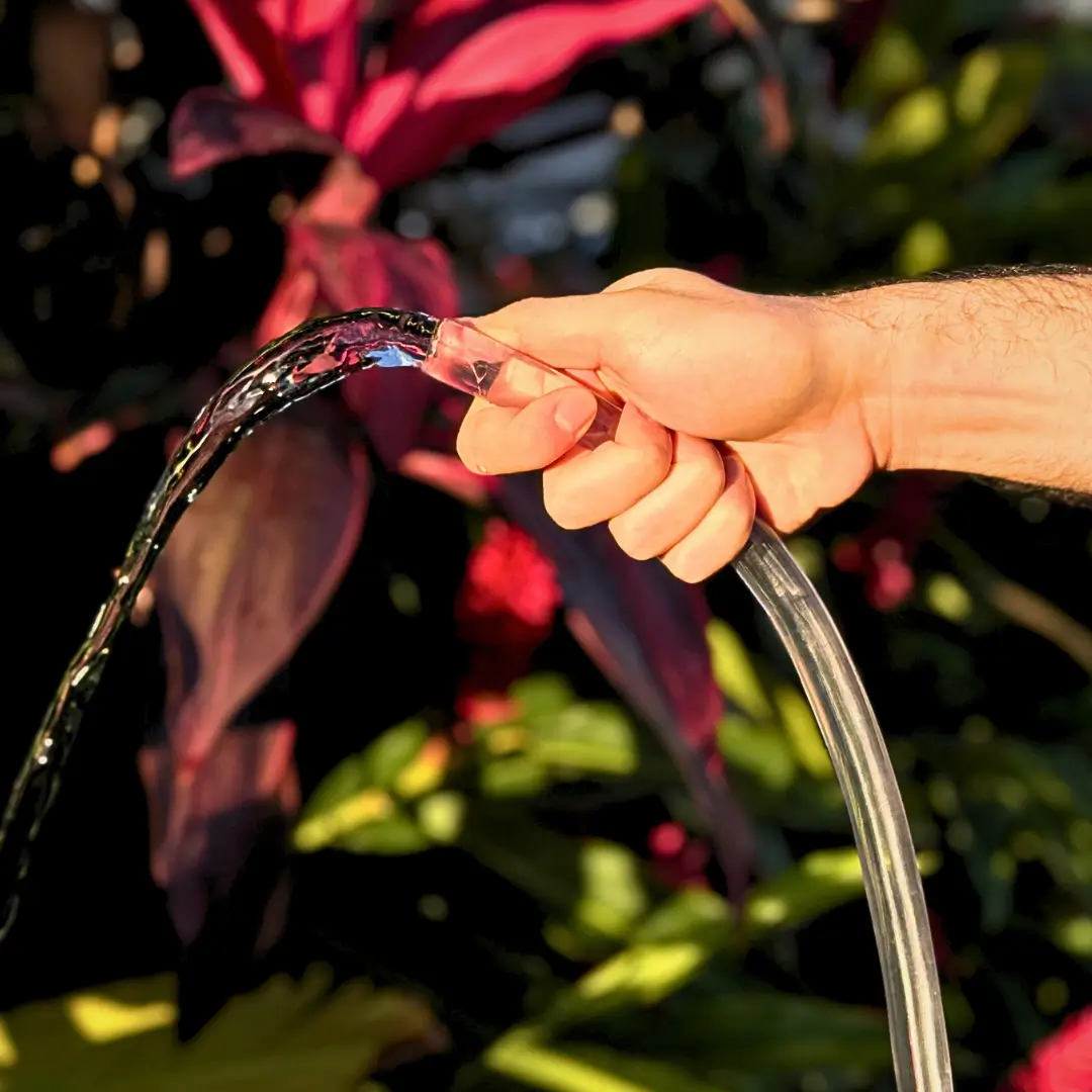 Representação do uso da mangueira para jardim cristalina CristaView para regar plantas.